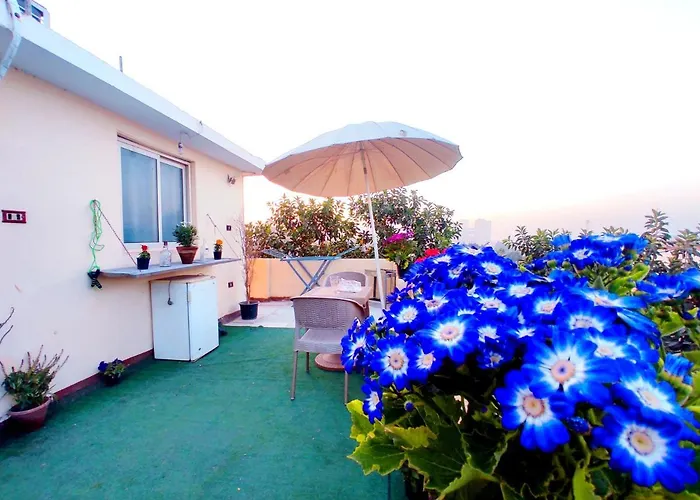 Roof For Rent, Street 9, Maadi