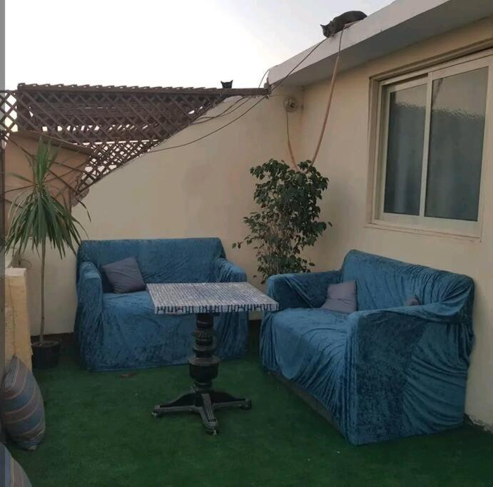 Apartment Roof For Rent, Street 9, Maadi *