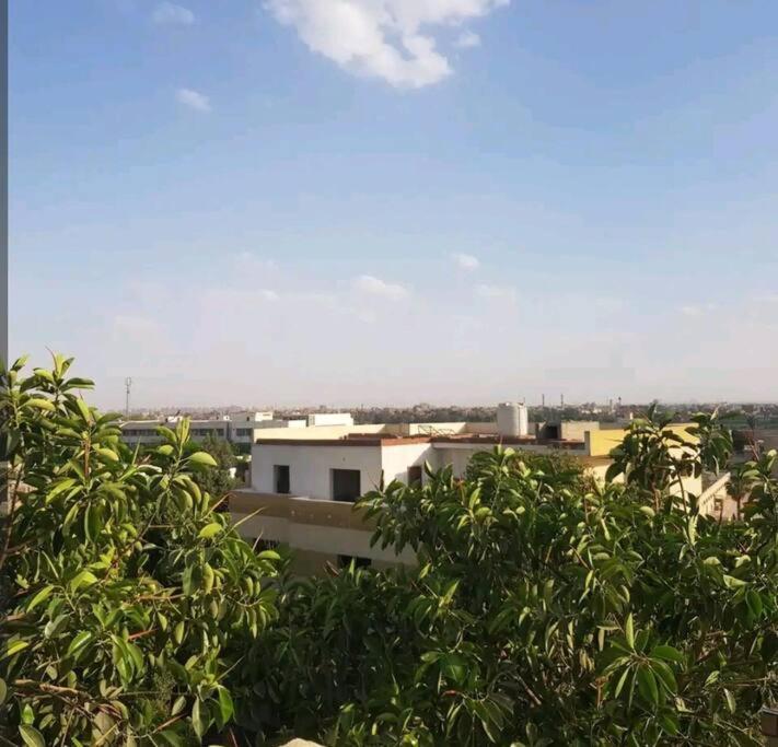 Apartment Roof For Rent, Street 9, Maadi *