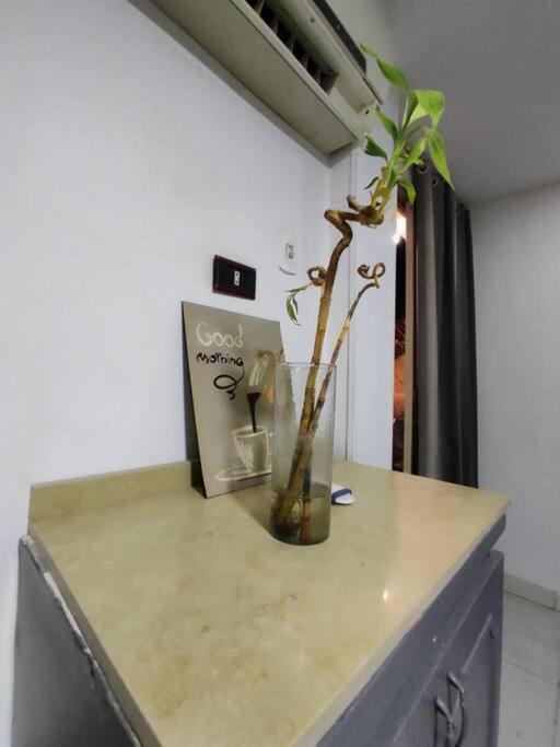 Apartment Roof For Rent, Street 9, Maadi Cairo