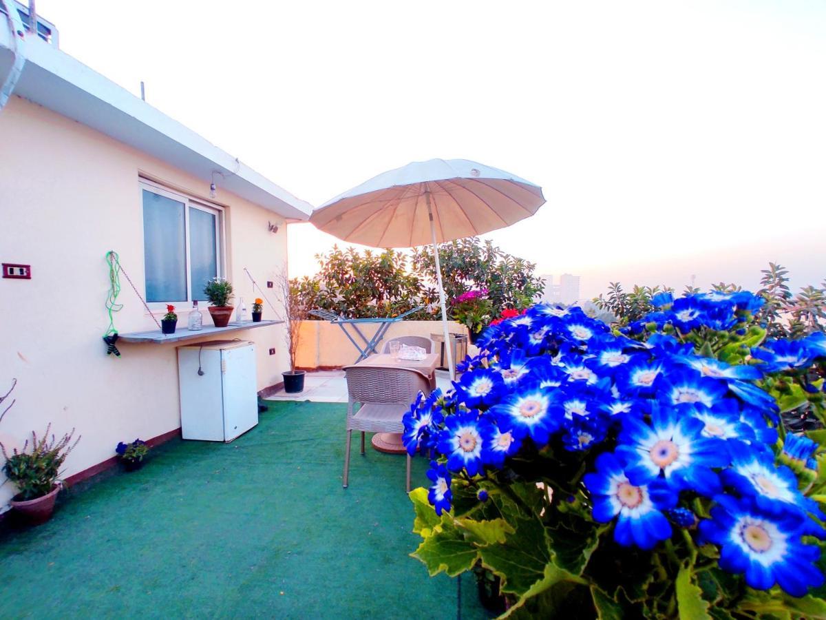 Roof For Rent, Street 9, Maadi Apartment