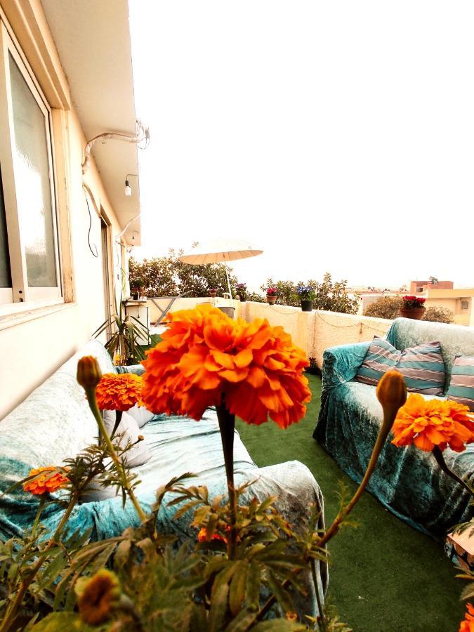 Apartment Roof For Rent, Street 9, Maadi *
