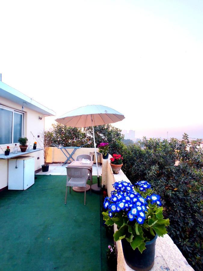 Apartment Roof For Rent, Street 9, Maadi Cairo