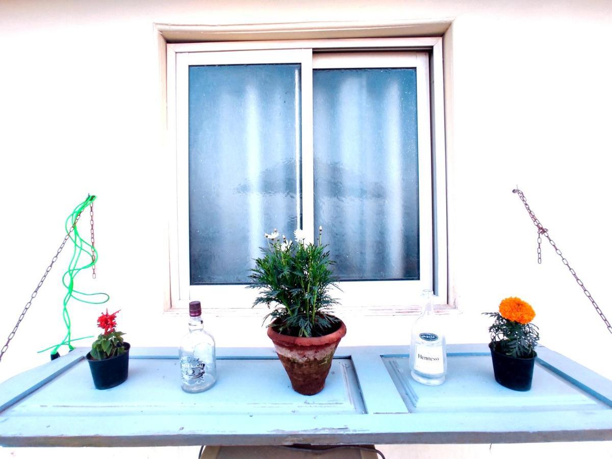 Roof For Rent, Street 9, Maadi Apartment